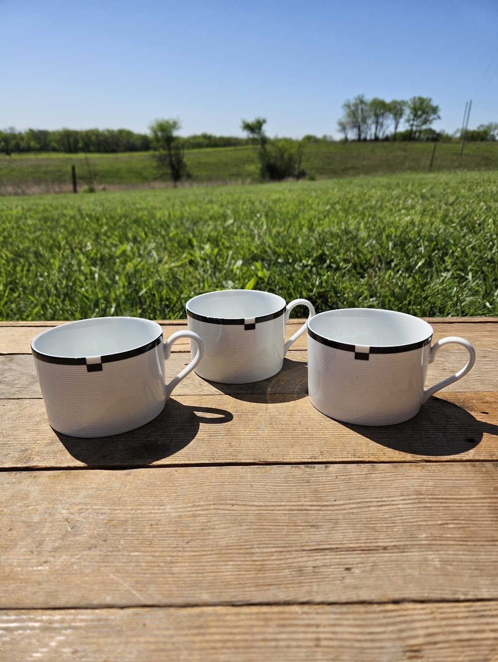 Mikasa White Porcelain Mugs with Black Band Trim - Set of 3